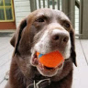 Meet your Posher, Gloria